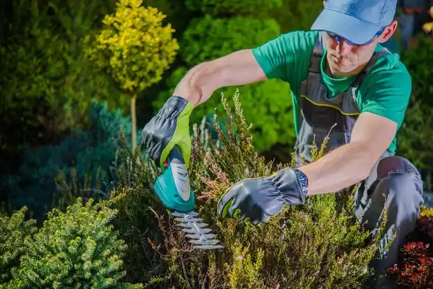 landscaping services East Massapequa